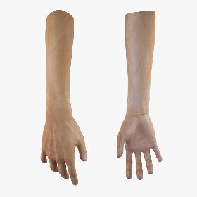 Male Hand